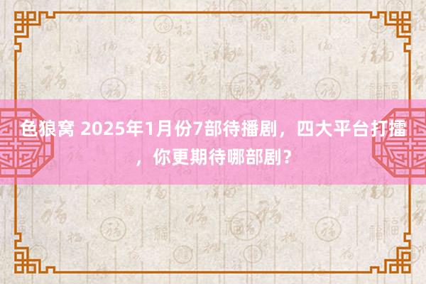   色狼窝 2025年1月份7部待播剧，四大平台打擂，你更期待哪部剧？