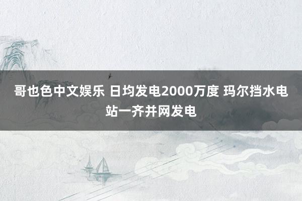   哥也色中文娱乐 日均发电2000万度 玛尔挡水电站一齐并网发电
