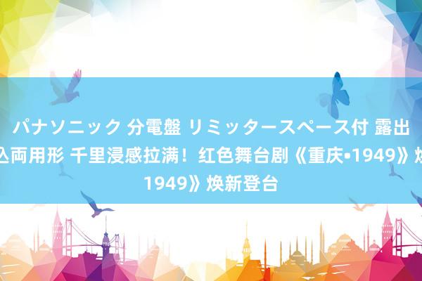 パナソニック 分電盤 リミッタースペース付 露出・半埋込両用形 千里浸感拉满！红色舞台剧《重庆•1949》焕新登台