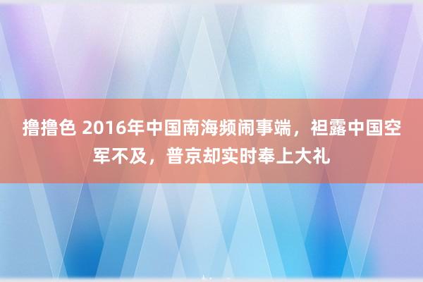   撸撸色 2016年中国南海频闹事端，袒露中国空军不及，普京却实时奉上大礼