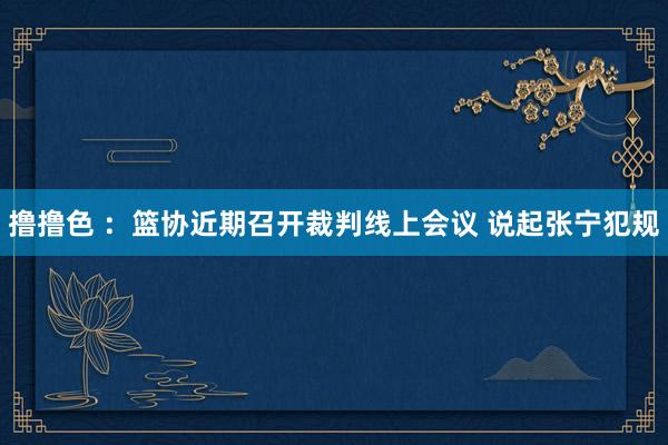   撸撸色 ：篮协近期召开裁判线上会议 说起张宁犯规