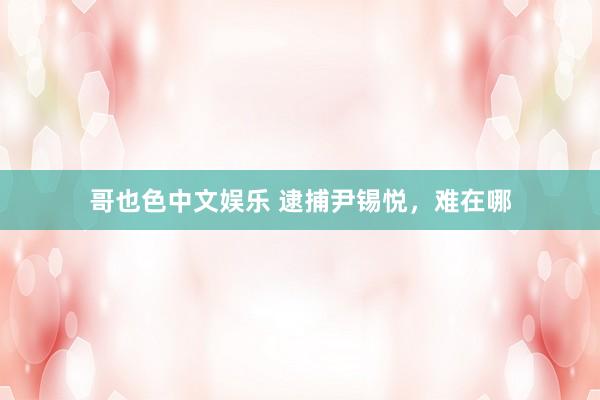   哥也色中文娱乐 逮捕尹锡悦，难在哪