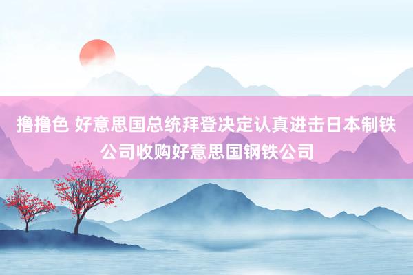   撸撸色 好意思国总统拜登决定认真进击日本制铁公司收购好意思国钢铁公司