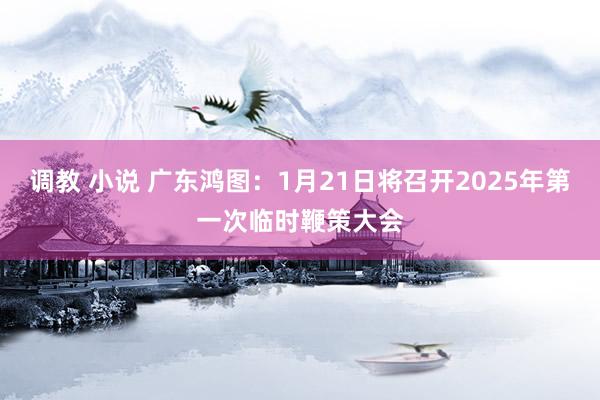   调教 小说 广东鸿图：1月21日将召开2025年第一次临时鞭策大会