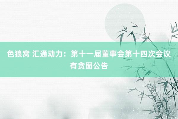   色狼窝 汇通动力：第十一届董事会第十四次会议有贪图公告