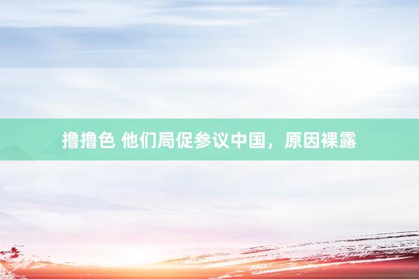   撸撸色 他们局促参议中国，原因裸露