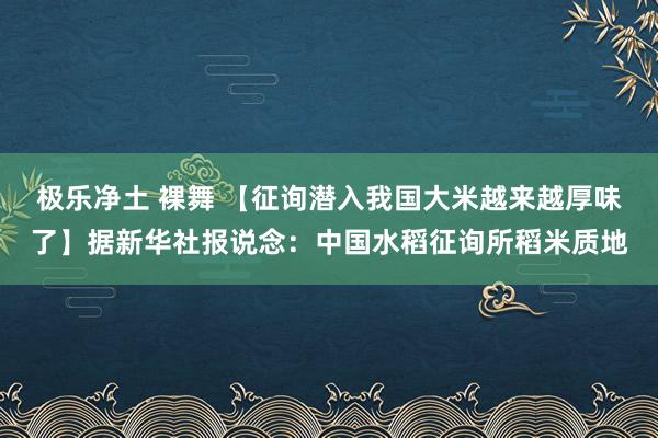   极乐净土 裸舞 【征询潜入我国大米越来越厚味了】据新华社报说念：中国水稻征询所稻米质地
