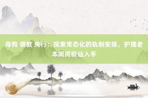  母狗 调教 央行：探索常态化的轨制安排，护理老本阛阓褂讪入手