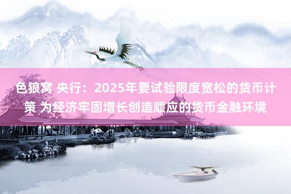   色狼窝 央行：2025年要试验限度宽松的货币计策 为经济牢固增长创造顺应的货币金融环境