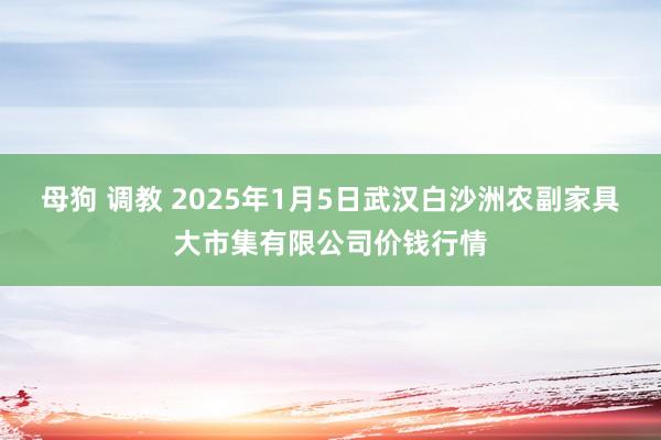   母狗 调教 2025年1月5日武汉白沙洲农副家具大市集有限公司价钱行情