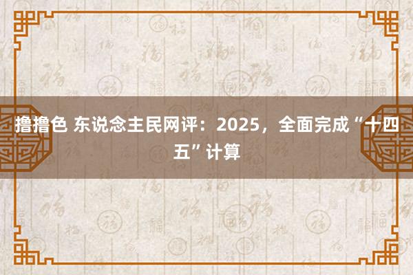   撸撸色 东说念主民网评：2025，全面完成“十四五”计算