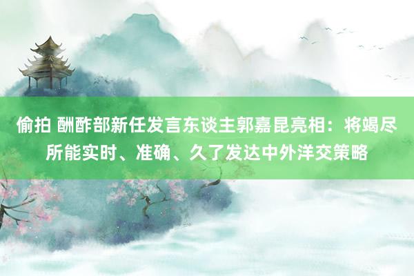   偷拍 酬酢部新任发言东谈主郭嘉昆亮相：将竭尽所能实时、准确、久了发达中外洋交策略