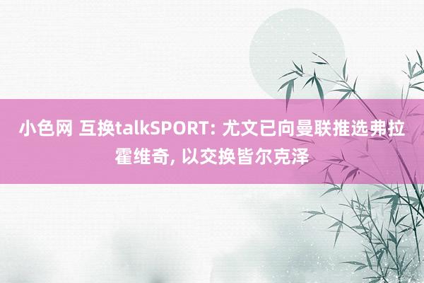   小色网 互换talkSPORT: 尤文已向曼联推选弗拉霍维奇, 以交换皆尔克泽