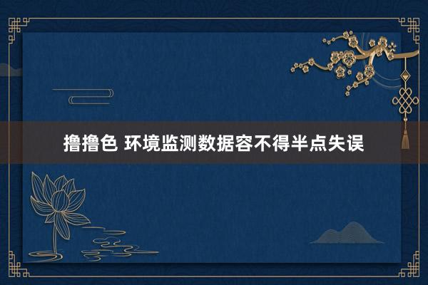   撸撸色 环境监测数据容不得半点失误