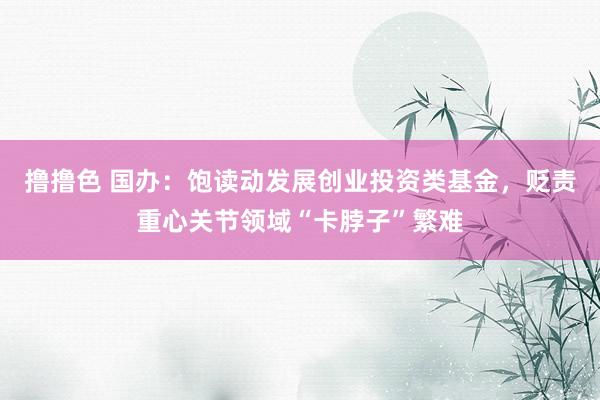  撸撸色 国办：饱读动发展创业投资类基金，贬责重心关节领域“卡脖子”繁难
