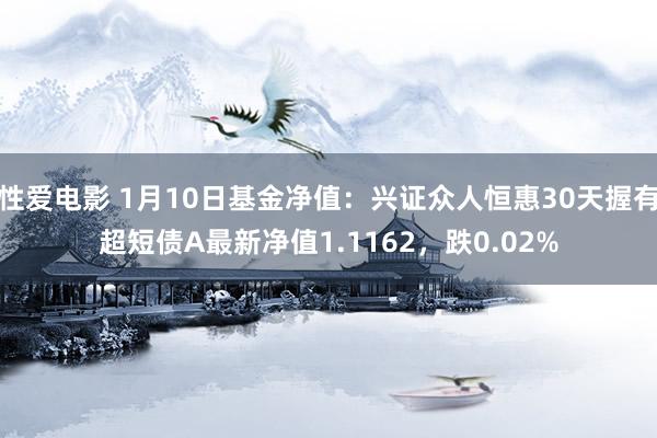   性爱电影 1月10日基金净值：兴证众人恒惠30天握有超短债A最新净值1.1162，跌0.02%