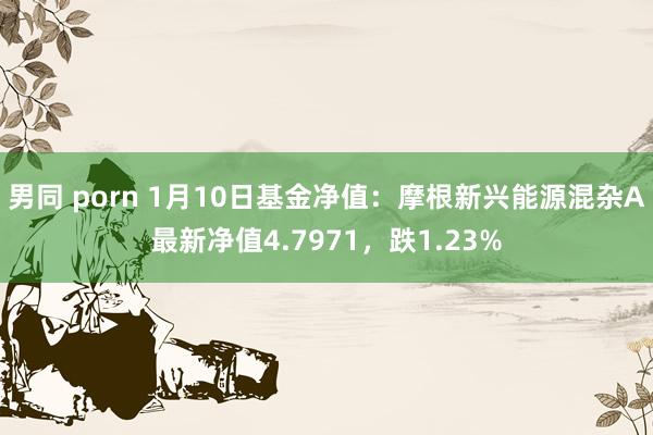   男同 porn 1月10日基金净值：摩根新兴能源混杂A最新净值4.7971，跌1.23%