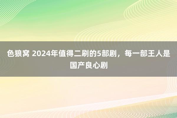   色狼窝 2024年值得二刷的5部剧，每一部王人是国产良心剧