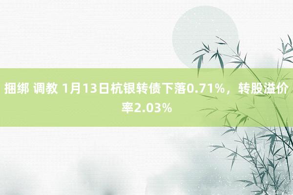   捆绑 调教 1月13日杭银转债下落0.71%，转股溢价率2.03%