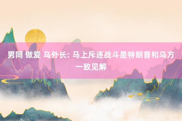   男同 做爱 乌外长: 马上斥逐战斗是特朗普和乌方一致见解