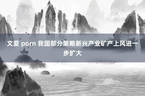   文爱 porn 我国部分策略新兴产业矿产上风进一步扩大
