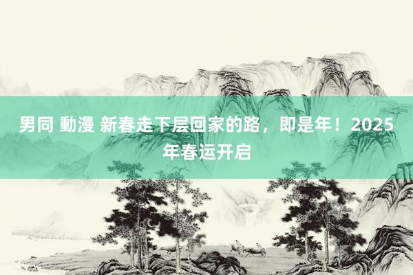   男同 動漫 新春走下层回家的路，即是年！2025年春运开启