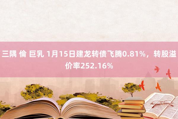   三隅 倫 巨乳 1月15日建龙转债飞腾0.81%，转股溢价率252.16%
