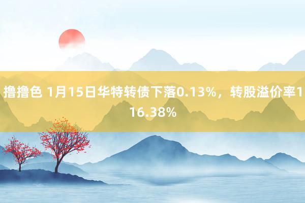   撸撸色 1月15日华特转债下落0.13%，转股溢价率116.38%