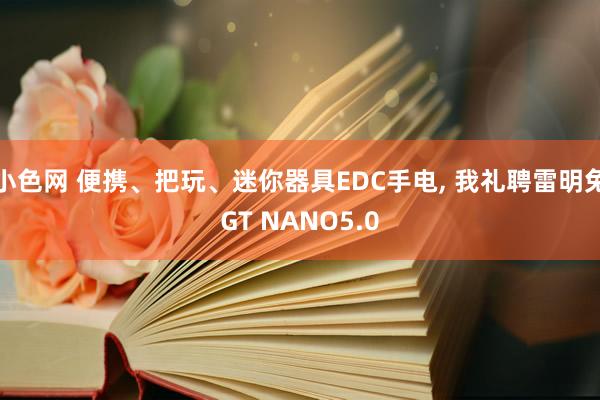   小色网 便携、把玩、迷你器具EDC手电, 我礼聘雷明兔GT NANO5.0