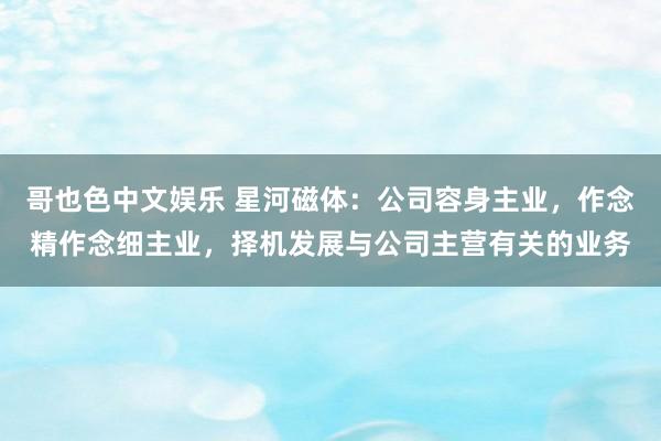   哥也色中文娱乐 星河磁体：公司容身主业，作念精作念细主业，择机发展与公司主营有关的业务