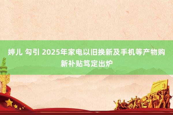   婷儿 勾引 2025年家电以旧换新及手机等产物购新补贴笃定出炉