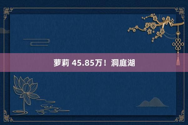   萝莉 45.85万！洞庭湖
