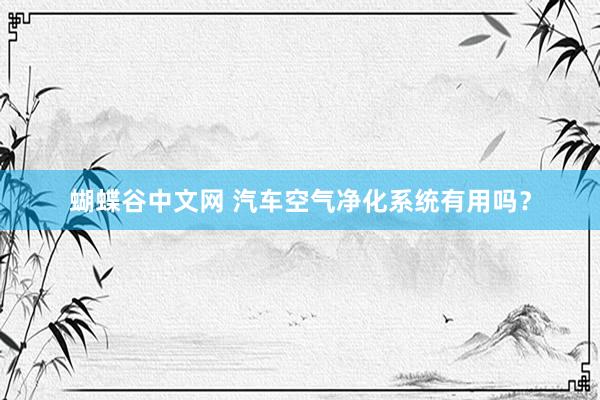   蝴蝶谷中文网 汽车空气净化系统有用吗？