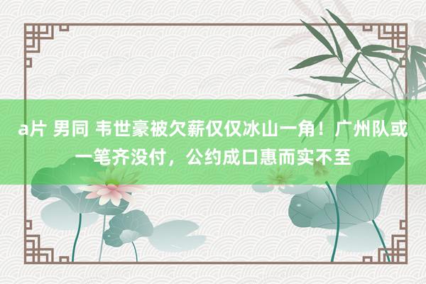   a片 男同 韦世豪被欠薪仅仅冰山一角！广州队或一笔齐没付，公约成口惠而实不至