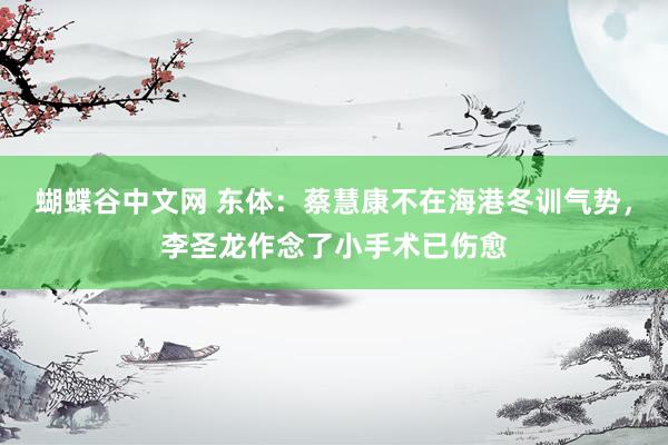   蝴蝶谷中文网 东体：蔡慧康不在海港冬训气势，李圣龙作念了小手术已伤愈