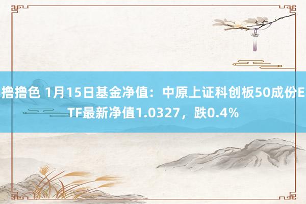   撸撸色 1月15日基金净值：中原上证科创板50成份ETF最新净值1.0327，跌0.4%