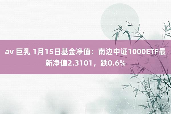   av 巨乳 1月15日基金净值：南边中证1000ETF最新净值2.3101，跌0.6%