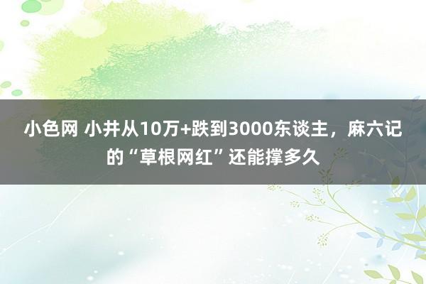   小色网 小井从10万+跌到3000东谈主，麻六记的“草根网红”还能撑多久