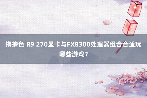   撸撸色 R9 270显卡与FX8300处理器组合合适玩哪些游戏？