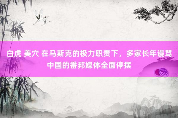   白虎 美穴 在马斯克的极力职责下，多家长年谩骂中国的番邦媒体全面停摆