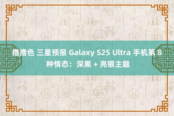  撸撸色 三星预报 Galaxy S25 Ultra 手机第 8 种情态：深黑 + 亮银主题