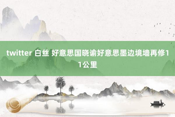   twitter 白丝 好意思国晓谕好意思墨边境墙再修11公里