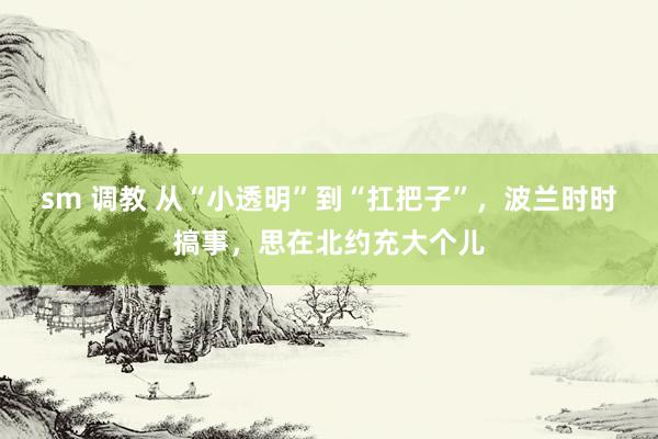   sm 调教 从“小透明”到“扛把子”，波兰时时搞事，思在北约充大个儿