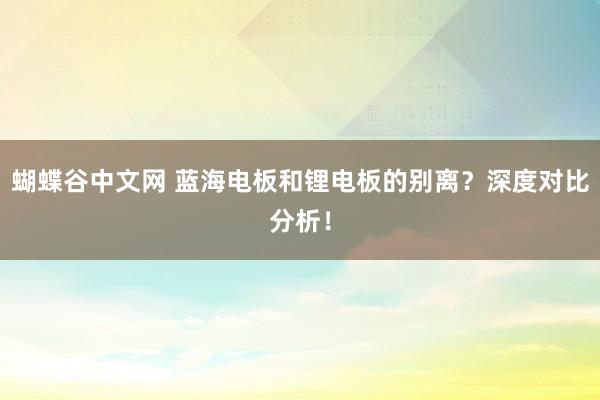   蝴蝶谷中文网 蓝海电板和锂电板的别离？深度对比分析！