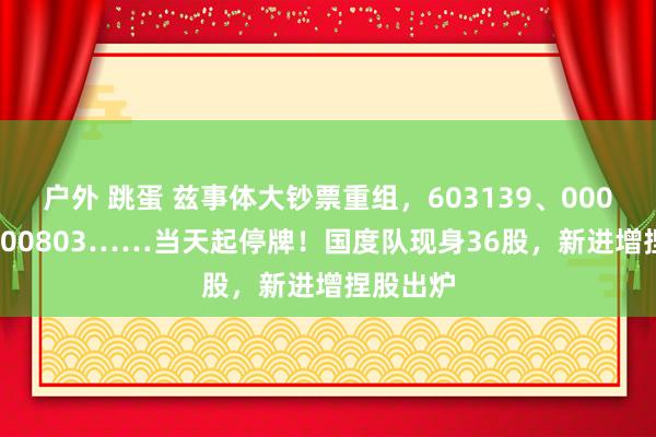   户外 跳蛋 兹事体大钞票重组，603139、000722、600803……当天起停牌！国度队现身36股，新进增捏股出炉