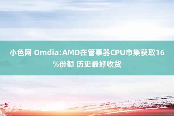   小色网 Omdia:AMD在管事器CPU市集获取16%份额 历史最好收货