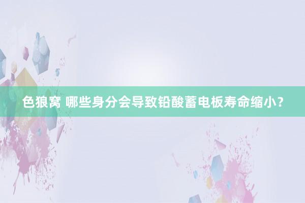   色狼窝 哪些身分会导致铅酸蓄电板寿命缩小？
