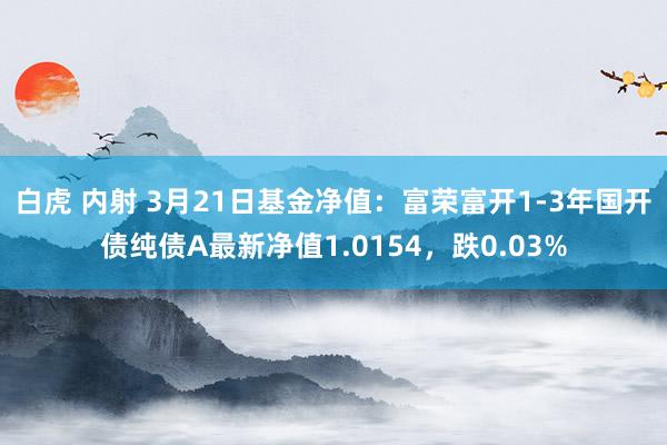   白虎 内射 3月21日基金净值：富荣富开1-3年国开债纯债A最新净值1.0154，跌0.03%