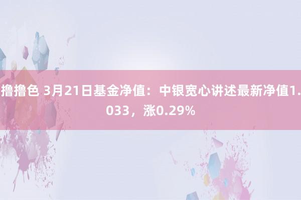   撸撸色 3月21日基金净值：中银宽心讲述最新净值1.033，涨0.29%