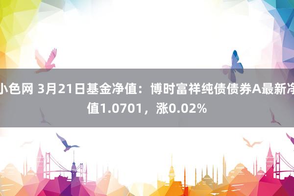   小色网 3月21日基金净值：博时富祥纯债债券A最新净值1.0701，涨0.02%